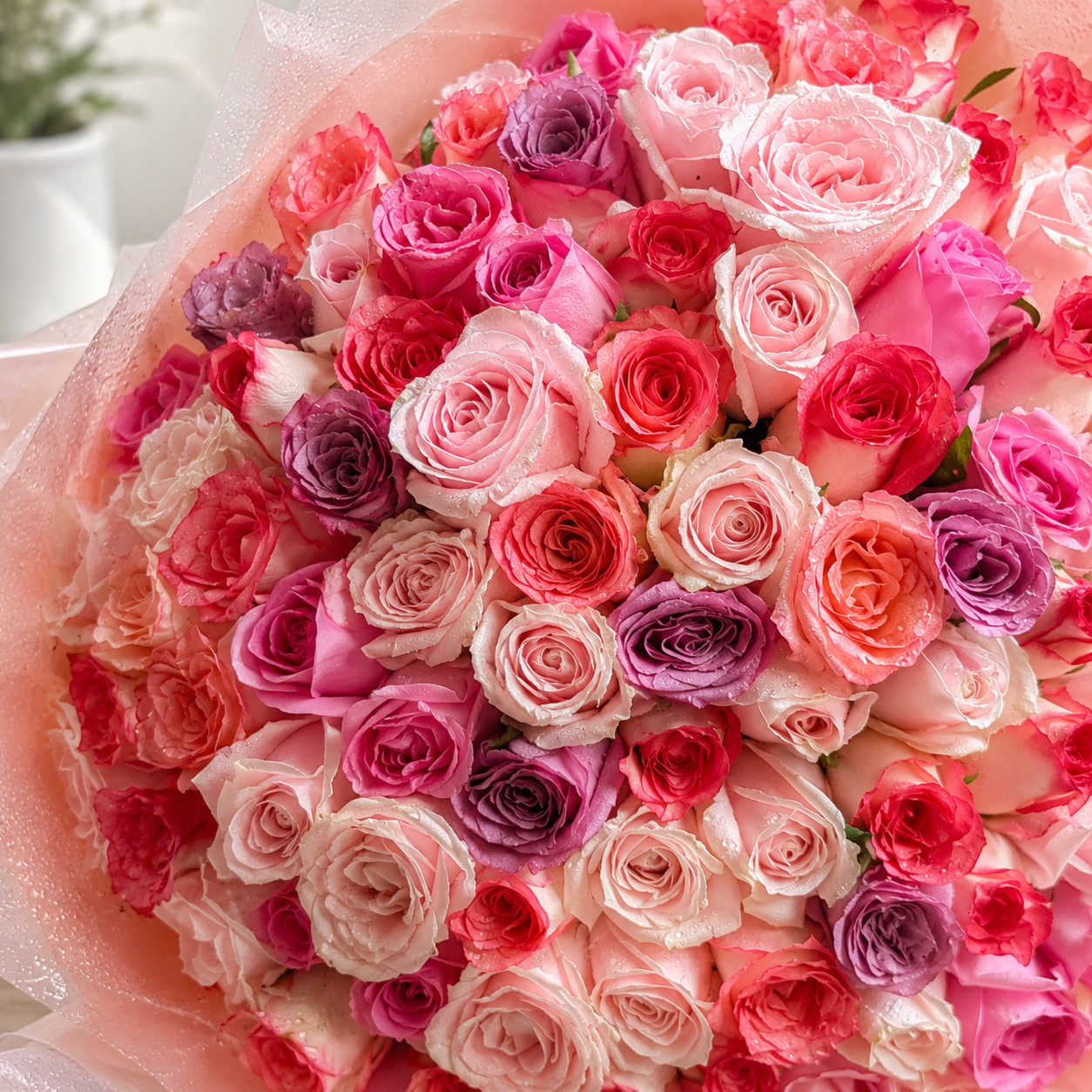 Close-up of four shades of pink roses in a bouquet