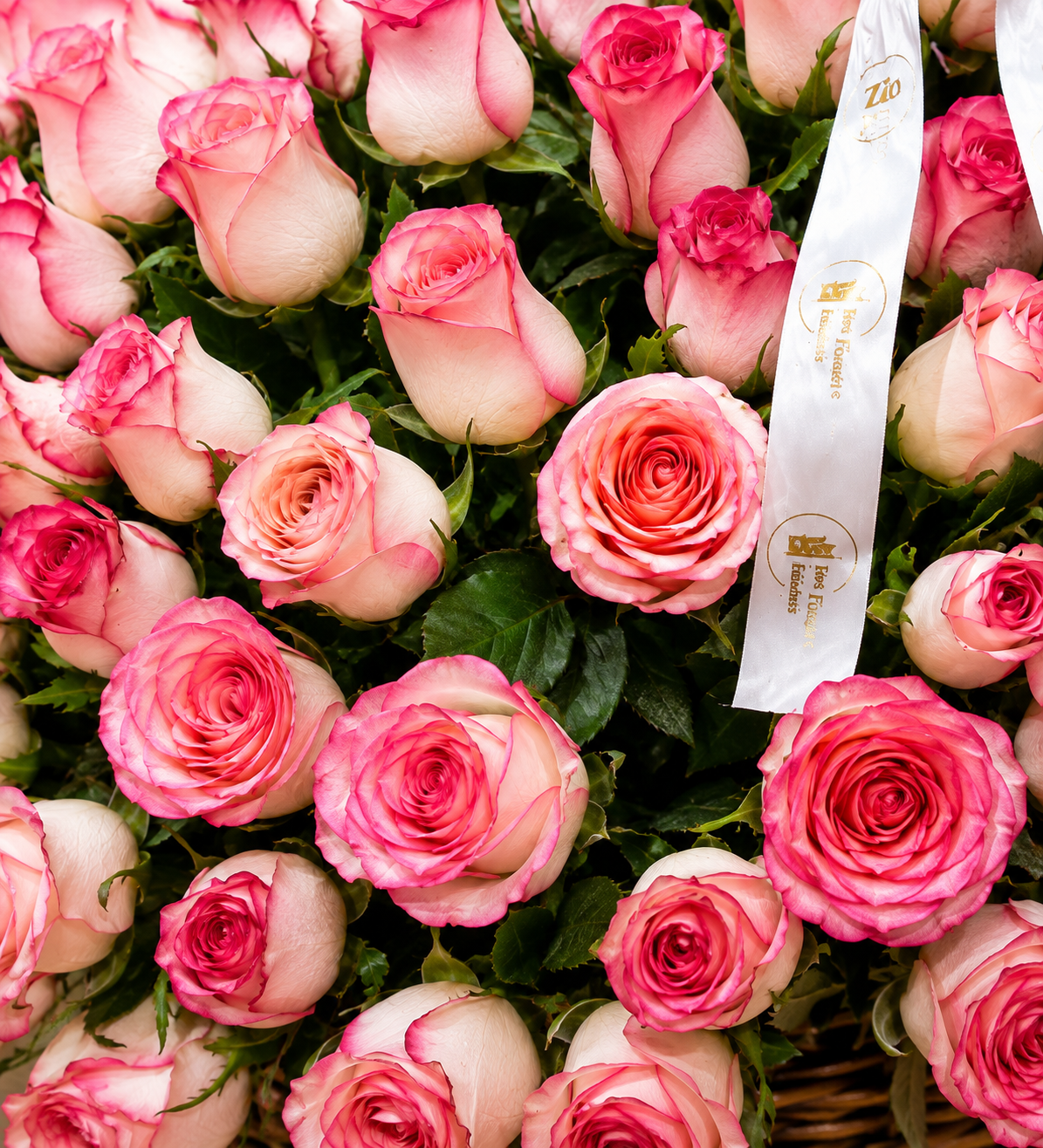 A dense bouquet of pink roses with pale blush petals and green leaves, featuring a white ribbon with gold text and logo.