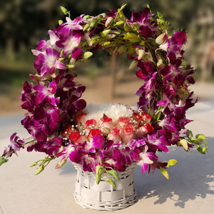 Royal Orchid Bloom Basket
