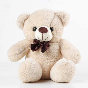 Teddy 6 inches